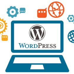 wordpress web development India