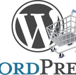Wordpress ecommerce web development India