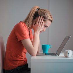 wordpress errors website developers india