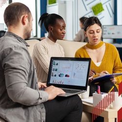 SEO Company in India