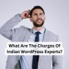 wordpress developers charges in india