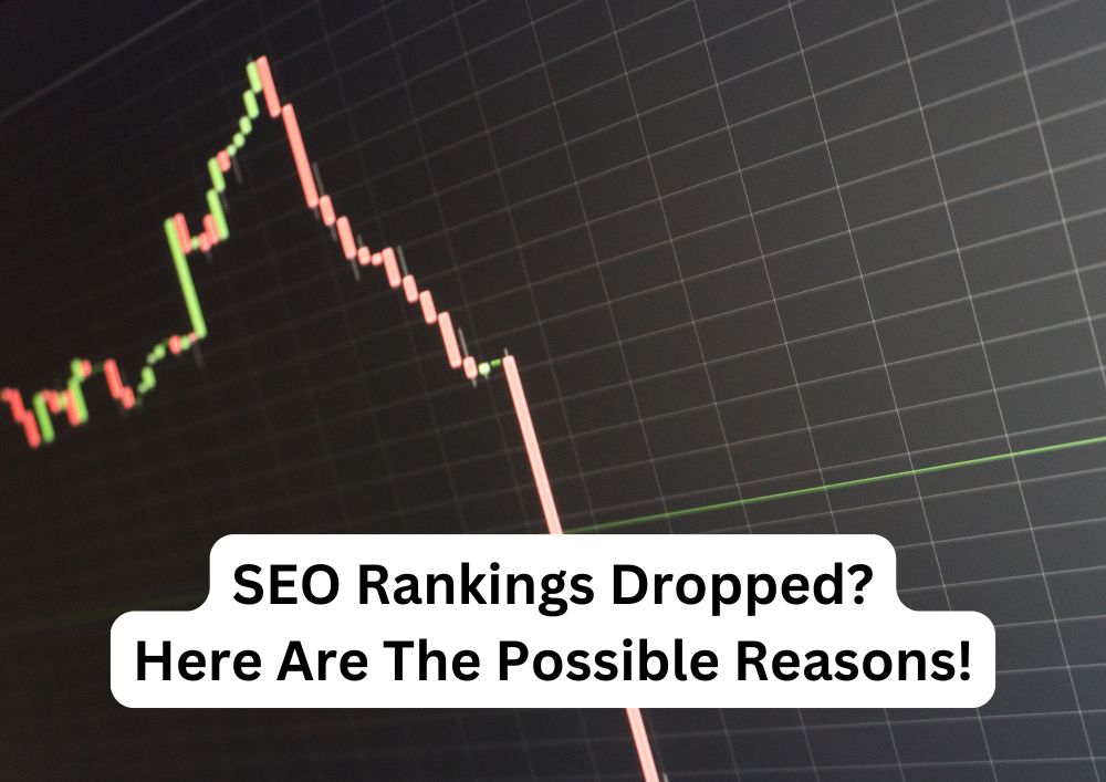 reasons for drop in seo rankings