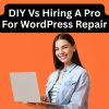 DIY Vs Hiring A Pro Web Developer