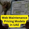 web maintenance pricing models in India